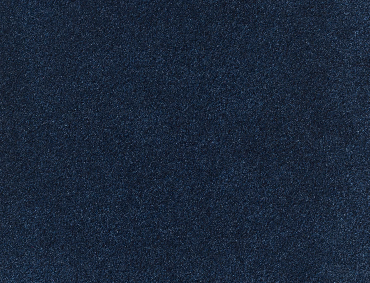 NAVY（Cut）