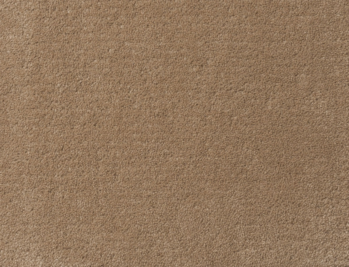 DARK BUFF（Cut）