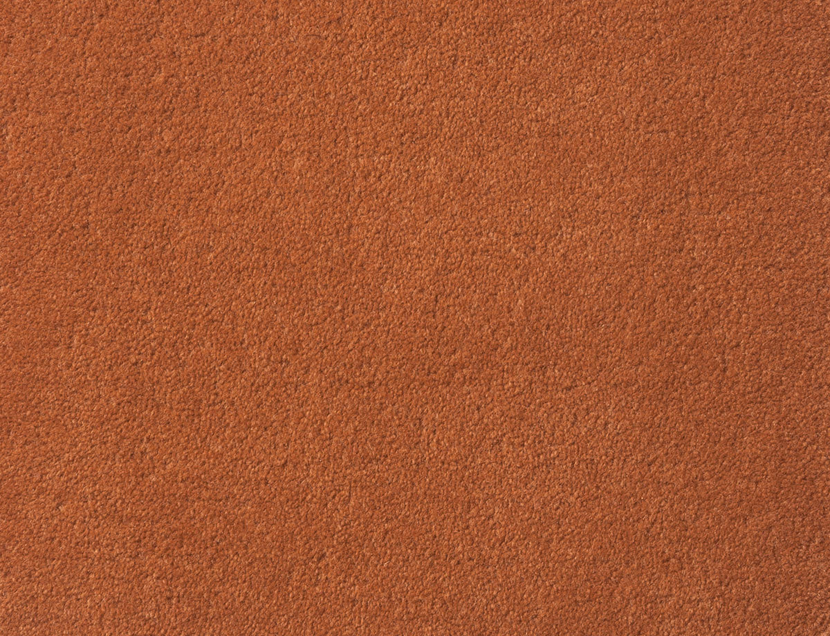 TAN（Cut）