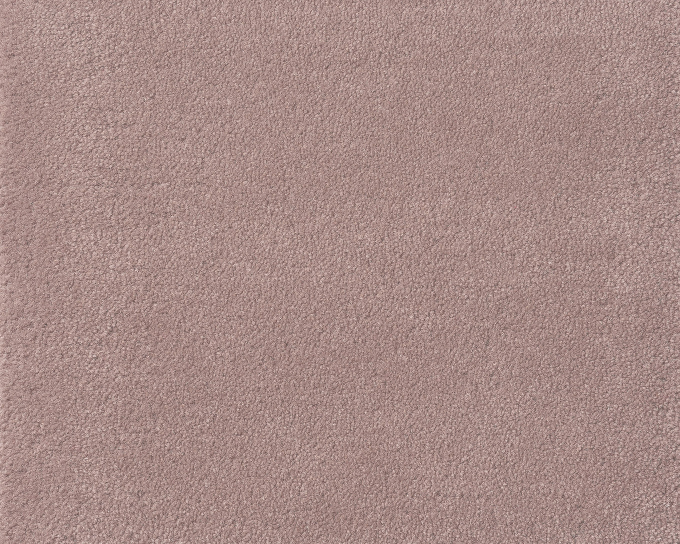 PALE TAUPE（Cut）