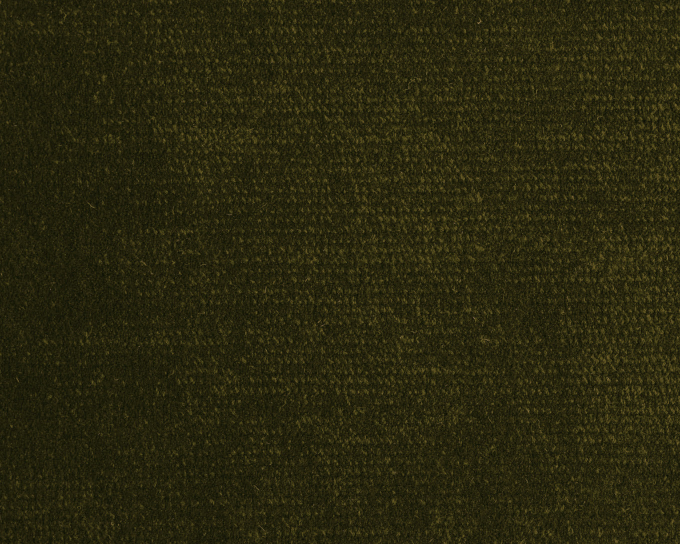 OLIVE GREEN（Tipshearing）