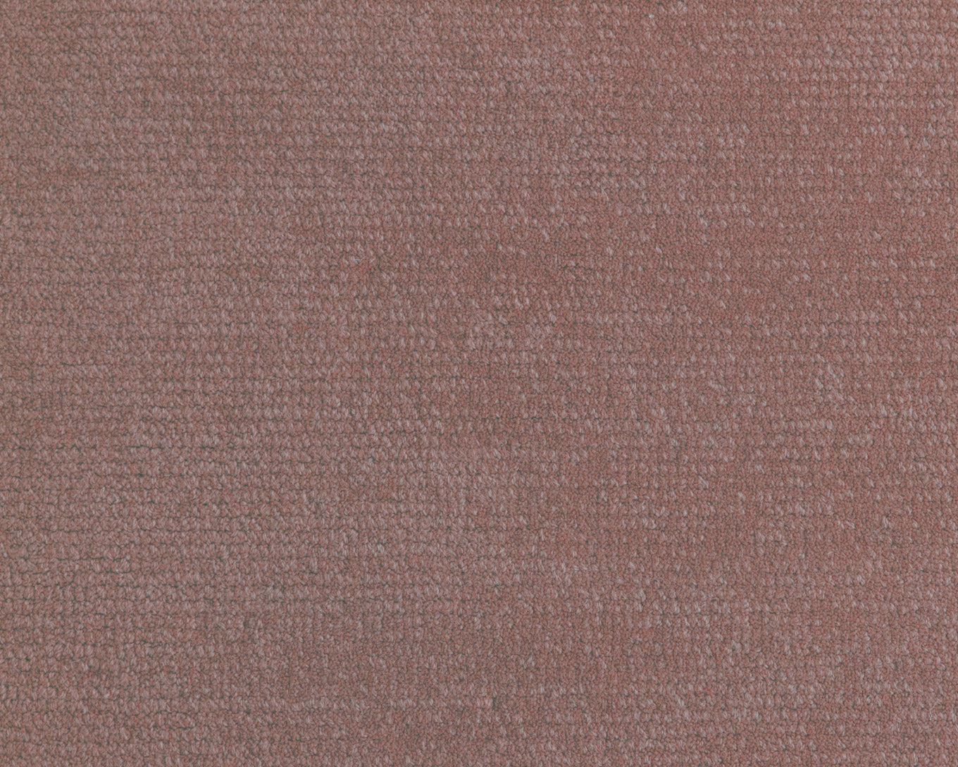 PALE TAUPE（Tipshearing）