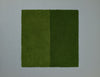ワカクサ（Field Green）2/4
