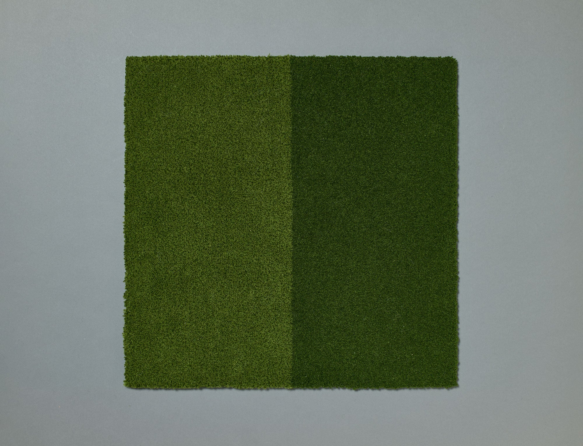 ワカクサ（Field Green）2/4