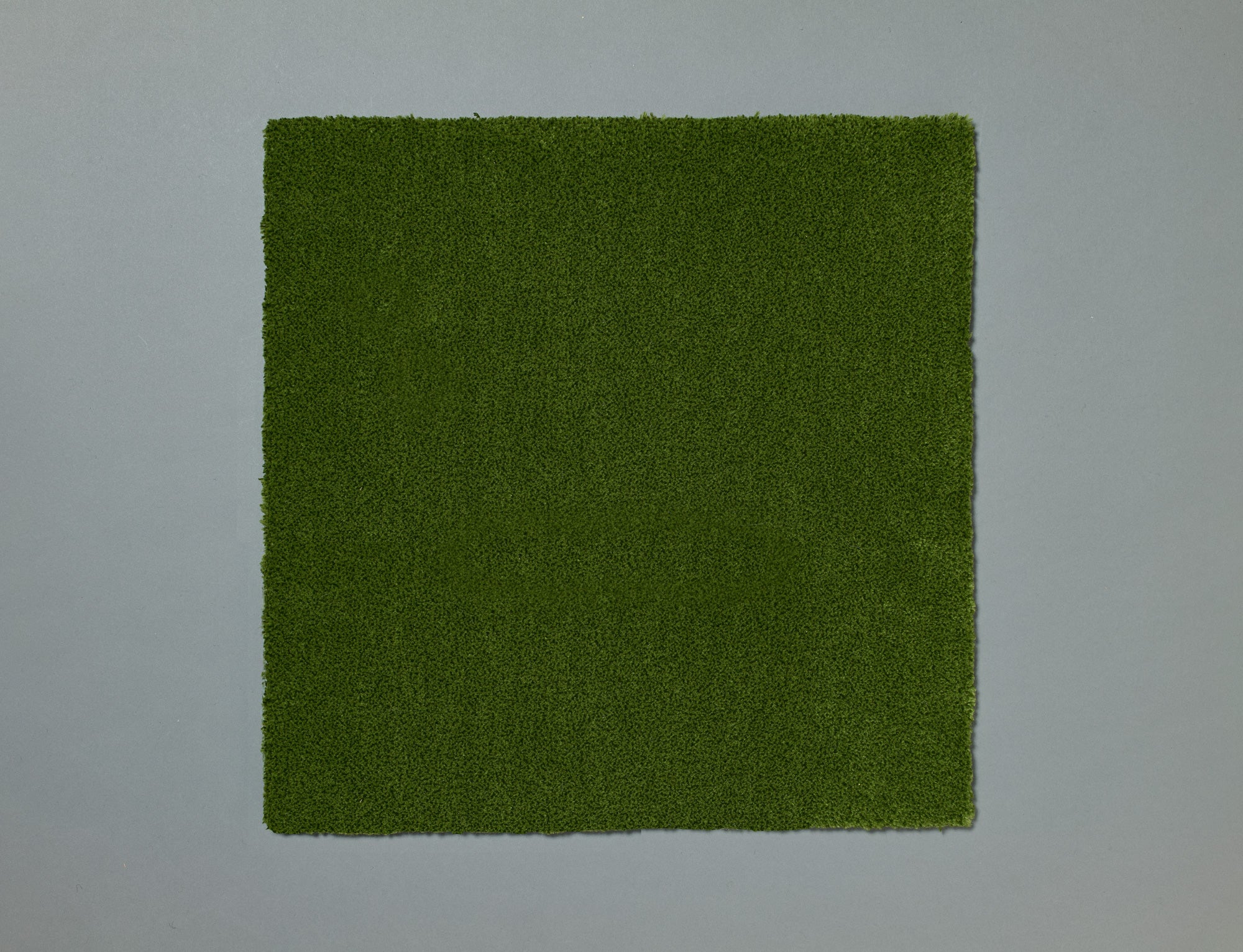 ワカクサ（Field Green）4/4